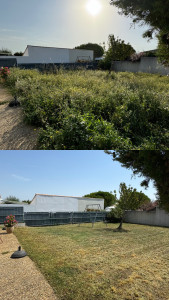 Photo de galerie - Tonte de pelouse - Débroussaillage