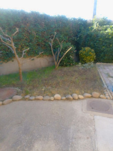 Photo de galerie - Jardin  et terrasse pour libre de courir joué sécurité avec portail fermé a clé 