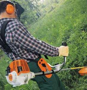 Photo de galerie - Débroussaillage