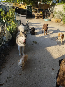 Photo de galerie - On s amuse bien 
