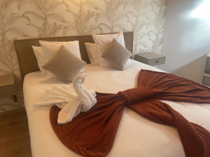 Photo de galerie - Lingerie - Repassage