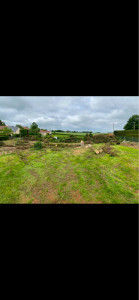 Photo de galerie - Abattage 