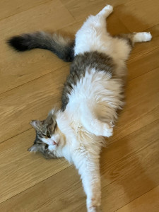 Photo de galerie - Jojo