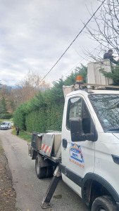 Photo de galerie - T'es attaquer une grosse haie 