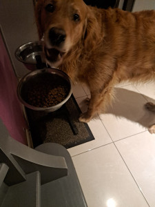 Photo de galerie - Adorable ??