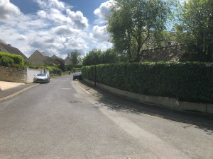 Photo de galerie - Taille de haies 