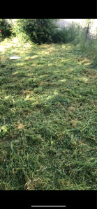 Photo de galerie - Débrouisaillage