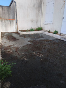 Photo de galerie - Tonte de pelouse - Débroussaillage