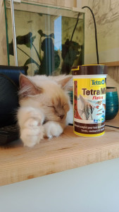 Photo de galerie - Princesse Naïa