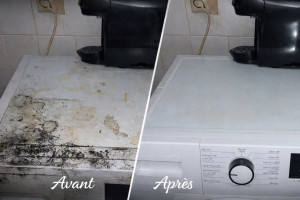 Photo de galerie - Ménage