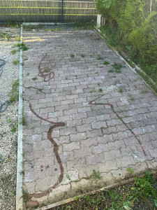 Photo de galerie - Nettoyeur haute pression / Karcher