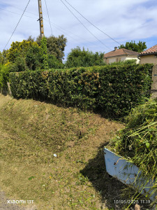 Photo de galerie - Tracteur tondeuse professionnelle de broussaille