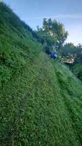 Photo de galerie - Broyage de parcelle en pentes via broyeur et micro tracteur. 