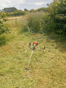 Photo de galerie - Débroussaillage