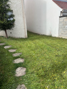 Photo de galerie - Tonte de pelouse
