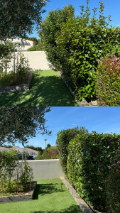 Photo de galerie - Avant/après 