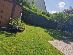 Photo de galerie - Tonte, désherbage, taille rosiers