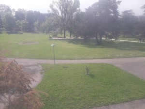 Photo de galerie - Paysagiste - Aménagement du jardin
