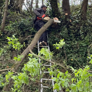 Photo de galerie - Entretien de jardins 