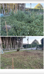 Photo de galerie - Nettoyage d’un potager 