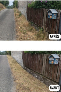 Photo de galerie - Débroussaillage 