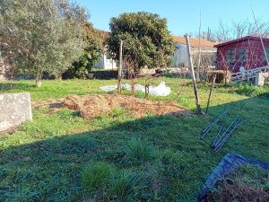 Photo de galerie - Mon jardin