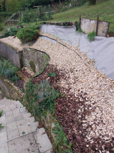 Photo de galerie - Entretien jardin, tendre pelouse, taille arbres, etc..