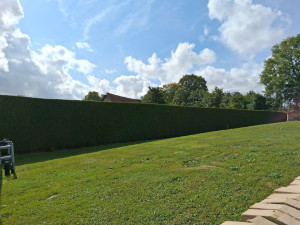 Photo de galerie - Taille de haies et d'arbustes