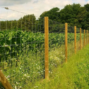 Photo de galerie - Je peux installer du grillage ou de la culture
 si en cas de besoin je me rend disponible 
