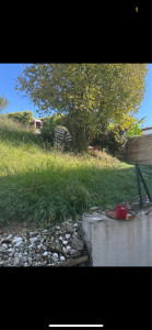 Photo de galerie - Tonte de pelouse - Débroussaillage