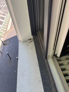 Photo de galerie - Ménage