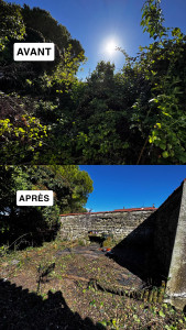Photo de galerie - Remise en état d’un bout de jardin laissé à l’abandon 