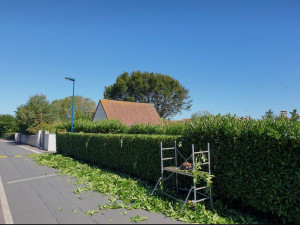Photo de galerie - Tonte de pelouse - Débroussaillage