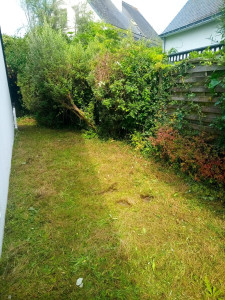 Photo de galerie - Entretien pelouse et arbustes 