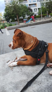 Photo de galerie -  Calme