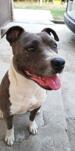 Photo de galerie - Ma magnifique Maddy :)