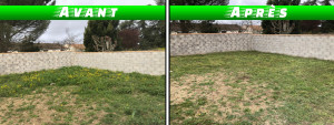 Photo de galerie - Tonte de pelouse - Débroussaillage