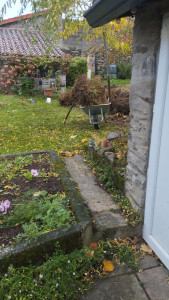 Photo de galerie - Enlèvement de bambou 