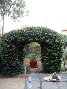 Photo de galerie - Taille de haies et d'arbustes