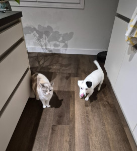 Photo de galerie - Visite de la petite tribu ce week-end !