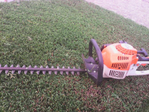 Photo de galerie - Taille de haie