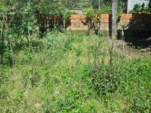 Photo de galerie - Avant netoyage