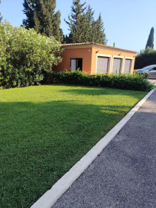 Photo de galerie - Entretien jardin 
