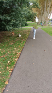 Photo de galerie - Promenade avec le copain 