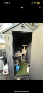 Photo de galerie - Remise en état 