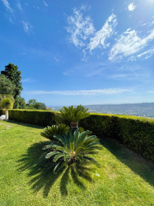 Photo de galerie - APRÈS : 