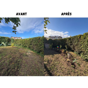 Photo de galerie - Création et plantation d’un massif avec une sélection de végétaux adaptés au climat et aux conditions du terrain. Un aménagement esthétique et durable, pensé pour limiter l’entretien tout en apportant verdure et harmonie au jardin.