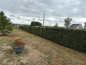 Photo de galerie - Après 