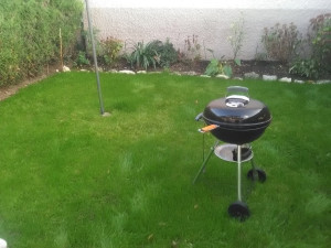 Photo de galerie - Paysagiste - Aménagement du jardin