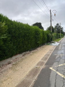 Photo de galerie - Taille haie 